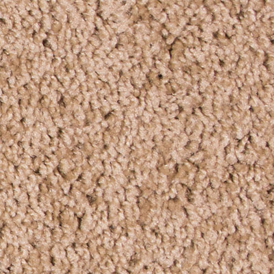 Declaration by DreamWeaver