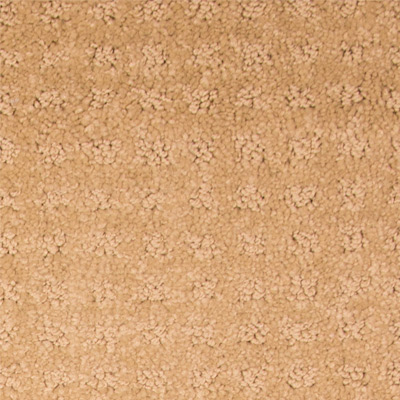 Framework by DreamWeaver