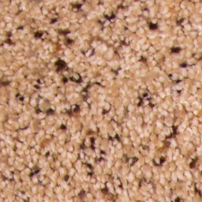 Jamboree by DreamWeaver