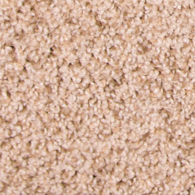 Network by DreamWeaver