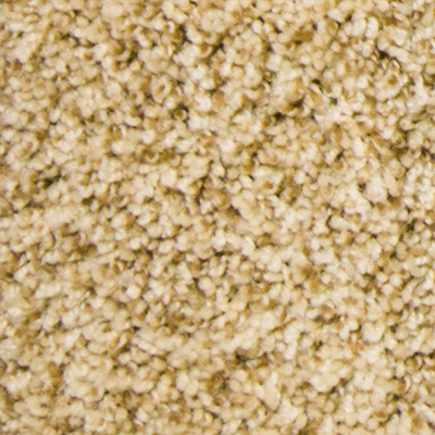 Ridgedale by The Carpet Guys