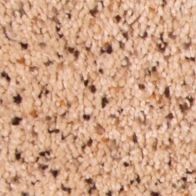 Triumphant by DreamWeaver