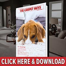 Carpet Buying Guide - Free Download