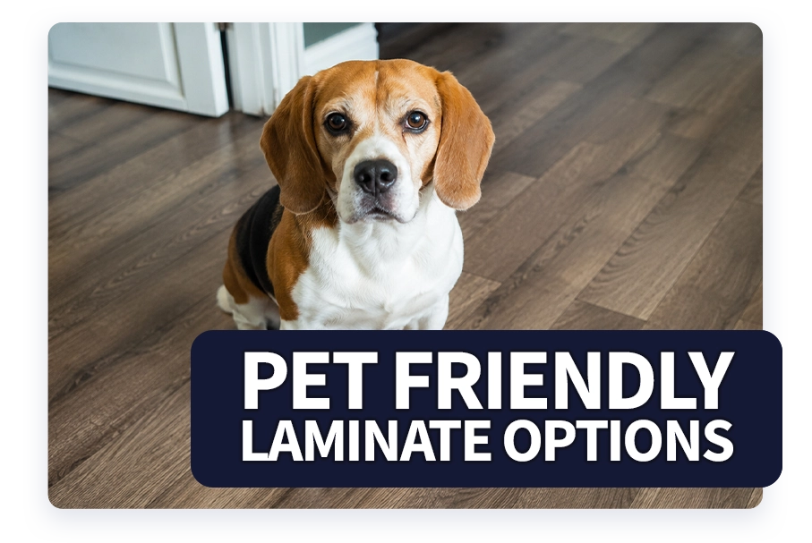 Pet friendly laminate options