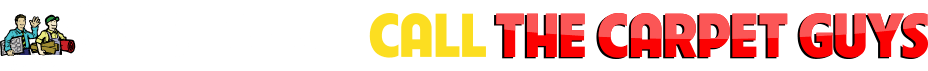 Carpet Guys logo