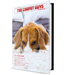 The Carpet Guys Carpet Buying Guide