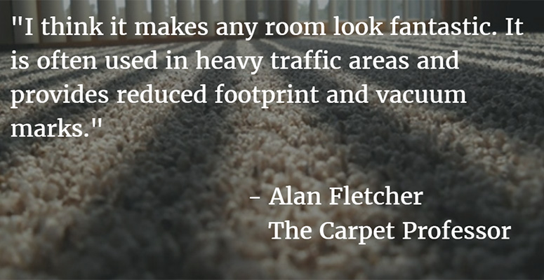 Carpet Facts 101 The Difference Between Berber And Frieze Guys