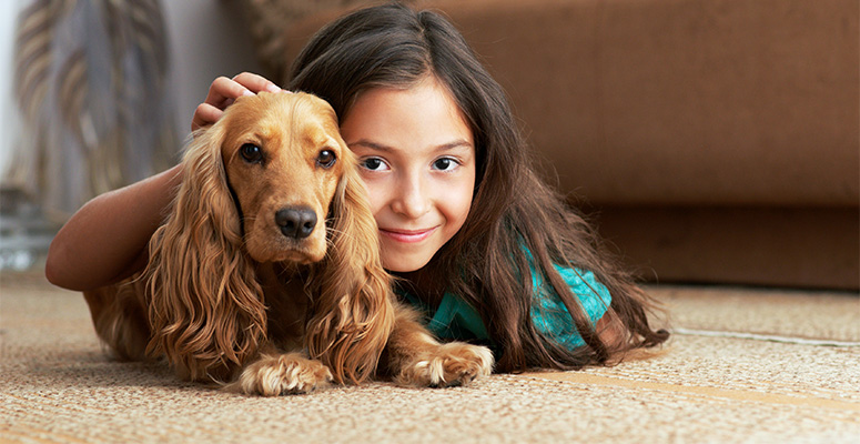 professional carpet installers