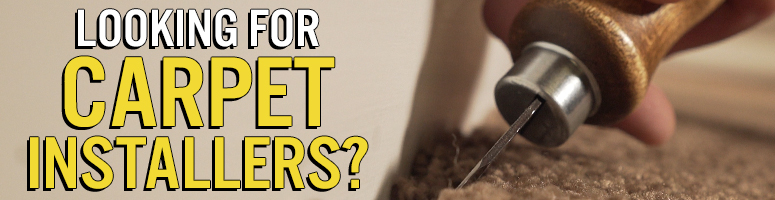 hire professional carpet installers