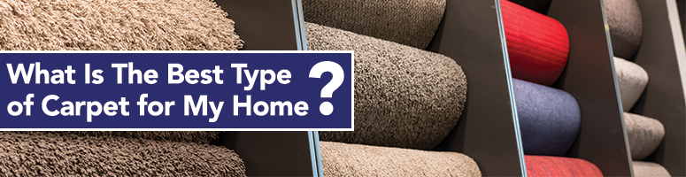 what is the best carpet to choose