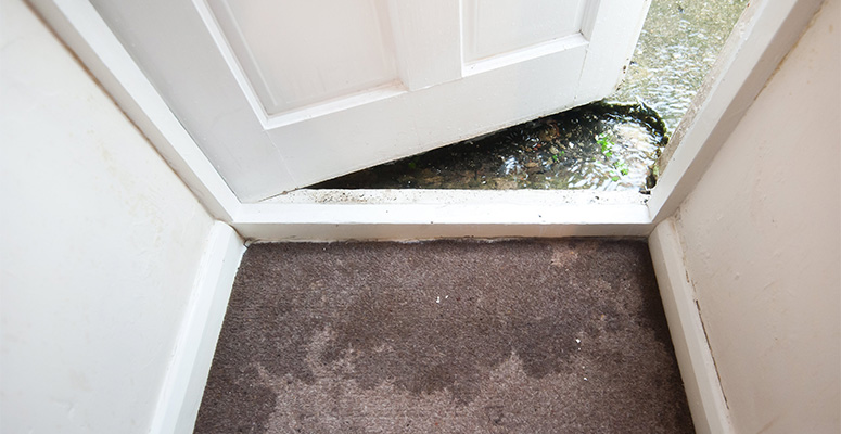 how to clean carpet after water damage