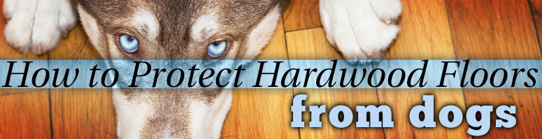 dog resistant hardwood floors