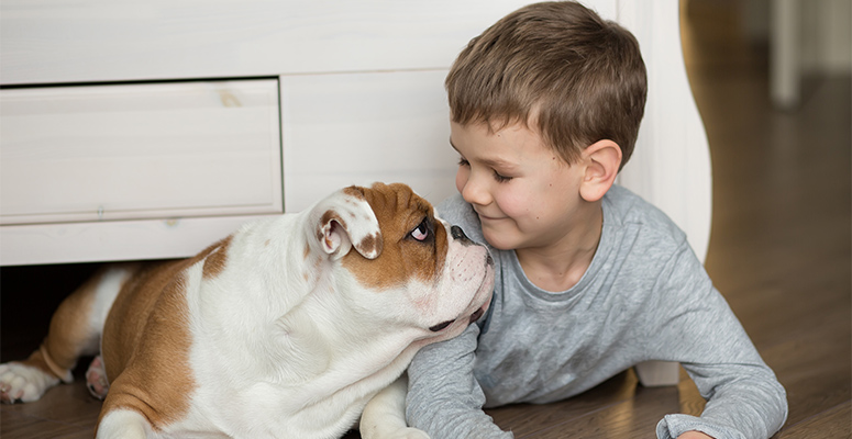 what is the cheapest type of flooring