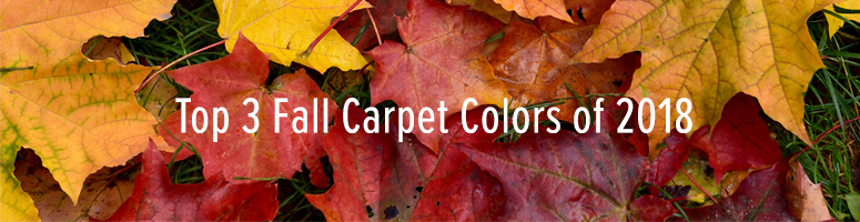 fall flooring trends