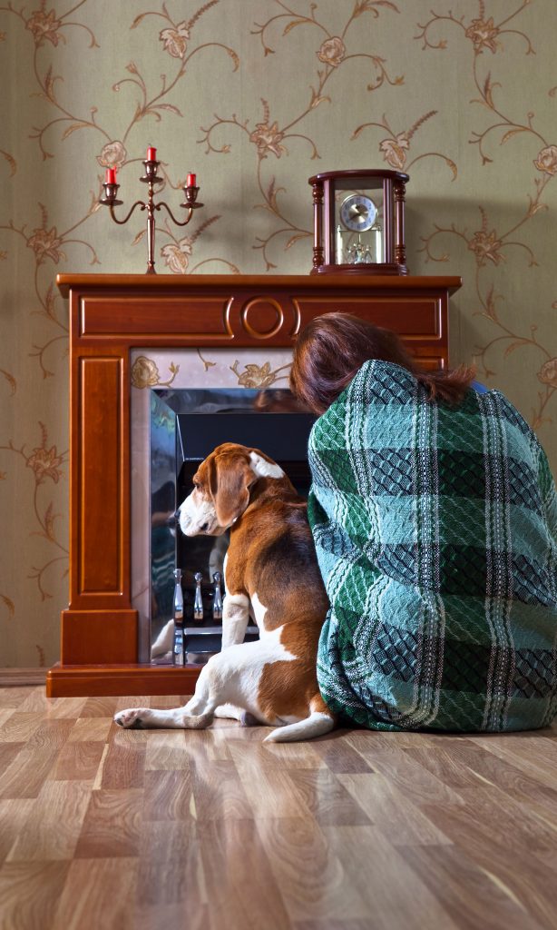 Can Dogs Easily Scratch a Laminate Floor? The Carpet Guys