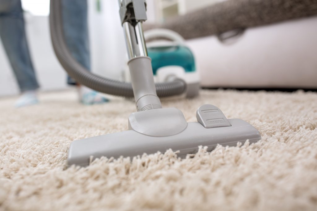 carpet warranty