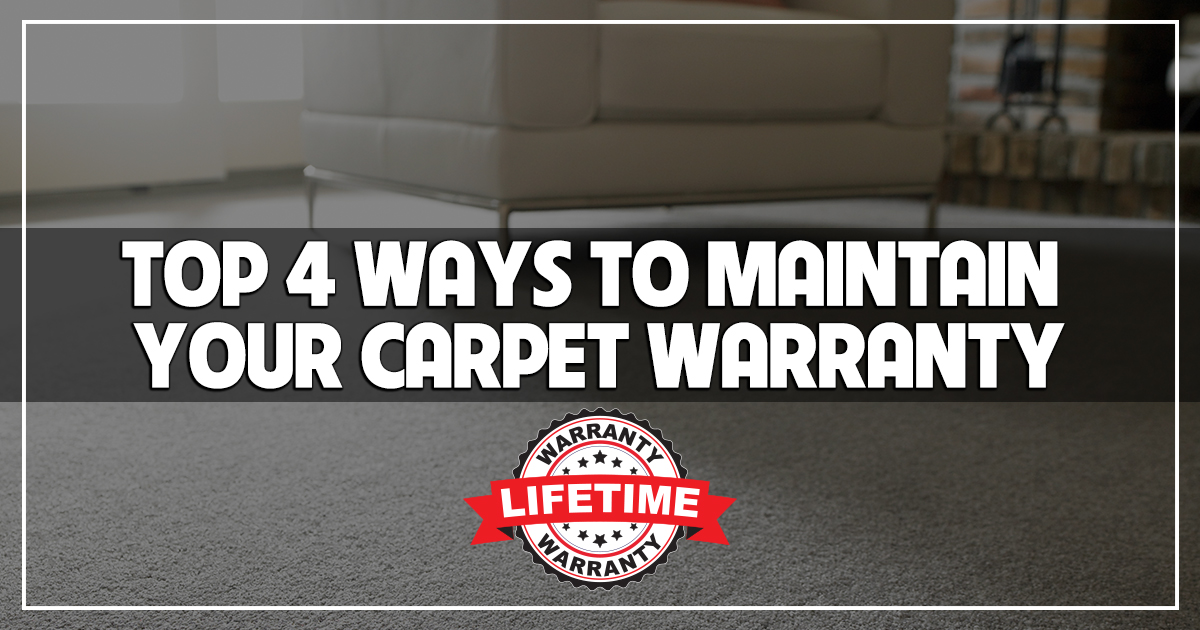 The Top 4 Ways to Maintain Your Carpet Warranty The Carpet Guys