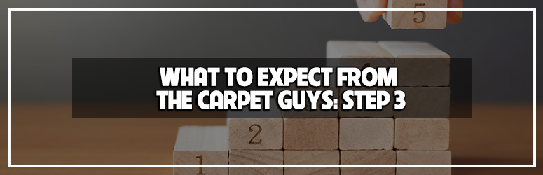 what to expect from the carpet guys: step 3 blog banner image