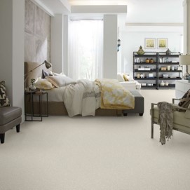 shaw platinum texture tonal in denali carpet