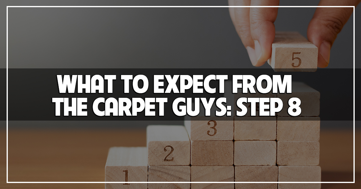 Step 8The Installation in our series What to Expect from The Carpet
