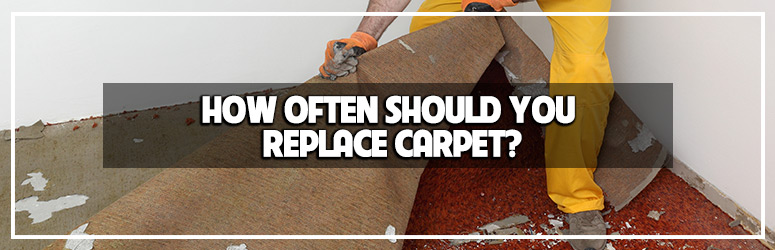 How Often Should You Replace Carpet?