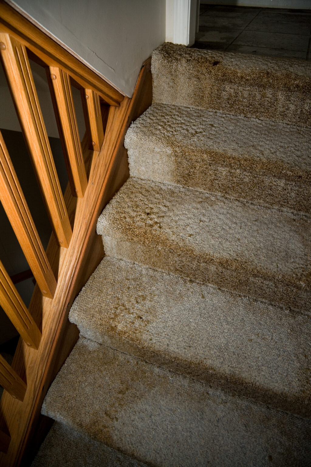 A view of water leaking on the stairs of a home The Carpet Guys