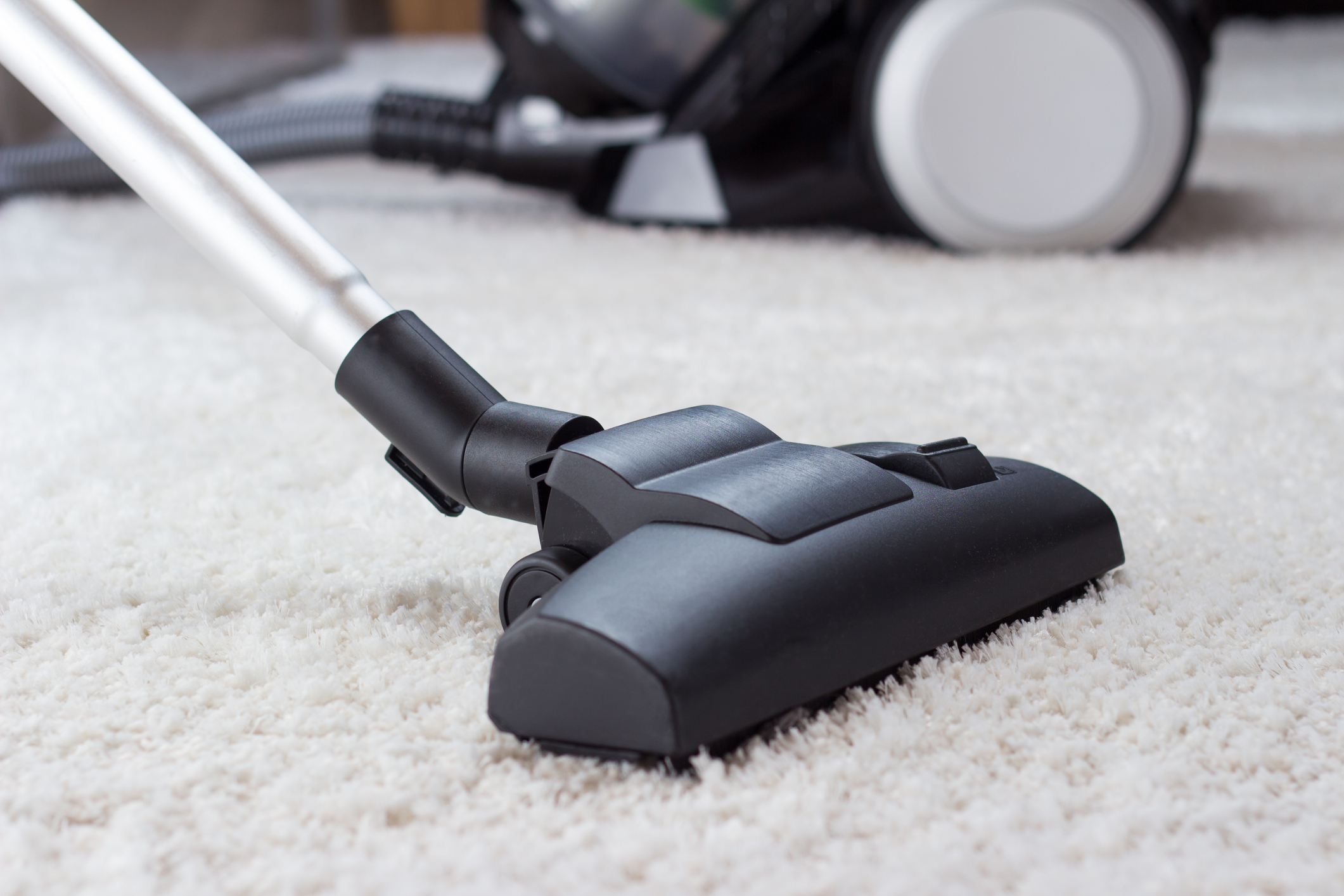 Best Vacuum Cleaners For Carpet 2024 - Orly Candida