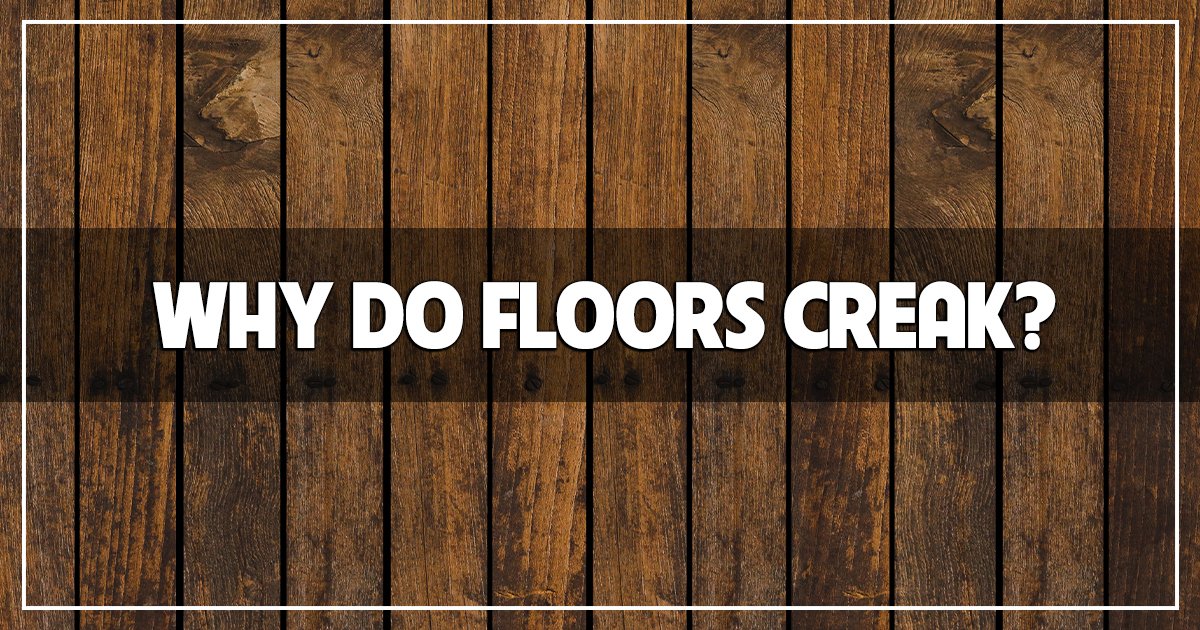 whydofloorssocial The Carpet Guys