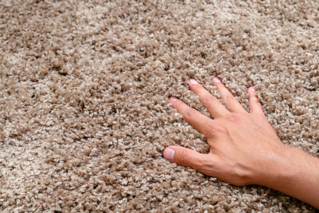 hand on tan cut carpet fibers