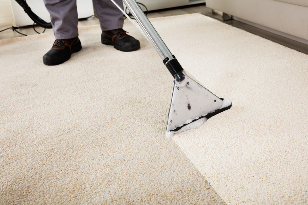 Professional carpet cleaning