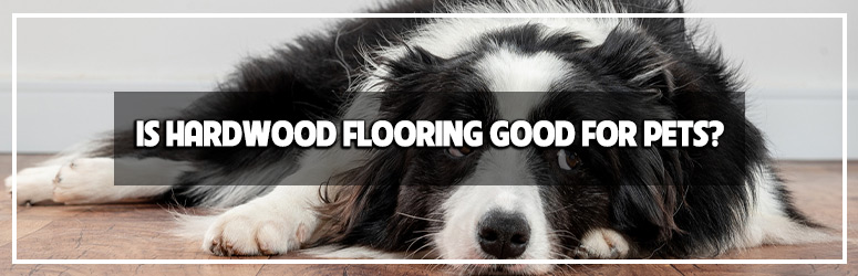 Pet Friendly Hardwood Flooring 
