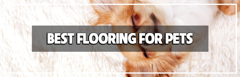 Best Flooring For Dogs