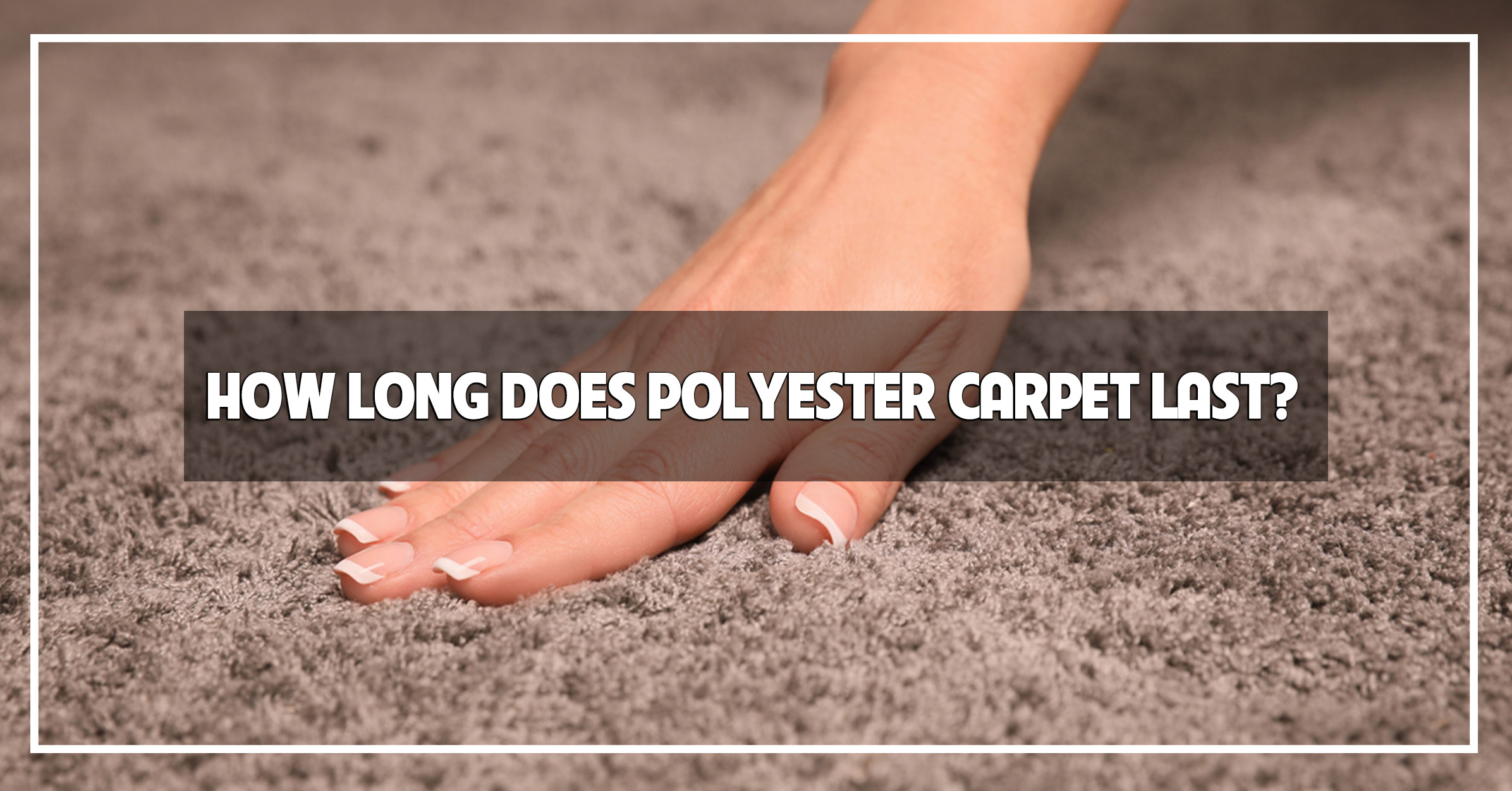 How Long Does Polyester Carpet Last? The Carpet Guys