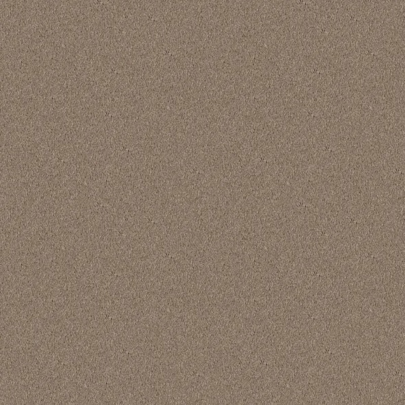 New Color in Summer Grain