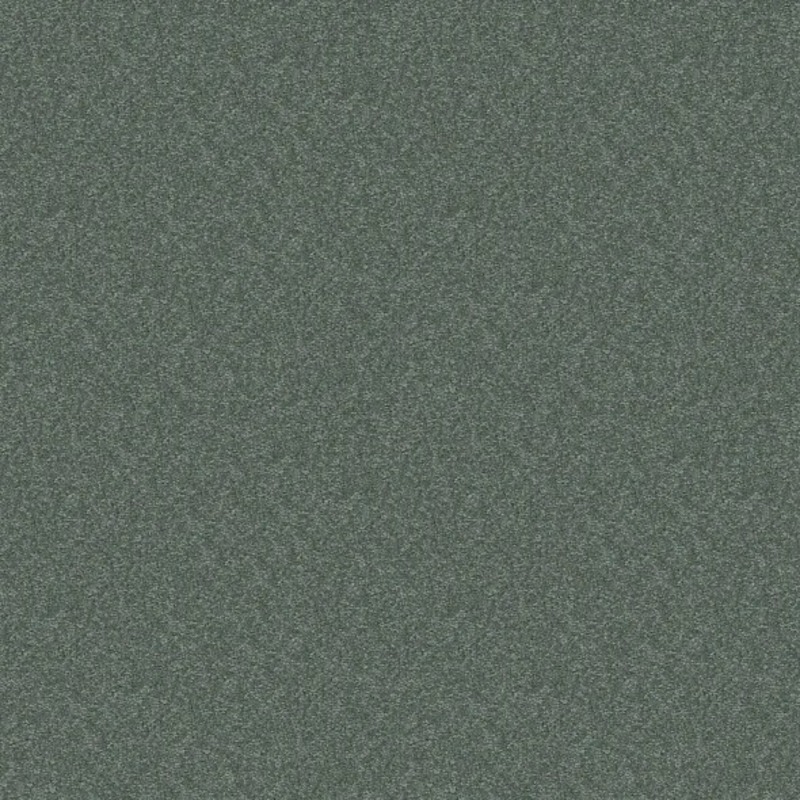 New Color in High Tide
