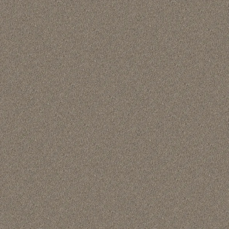 New Color in Cloudy Day