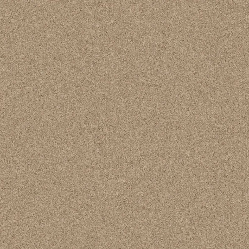 New Color in Cottonelle