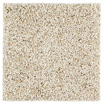 Looped Carpet