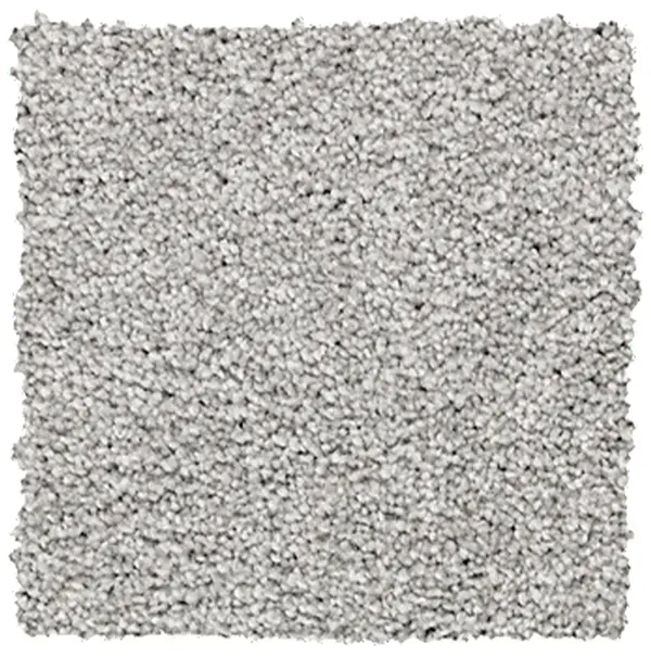 Plush Carpet