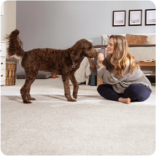Frieze carpet installed in a bedroom