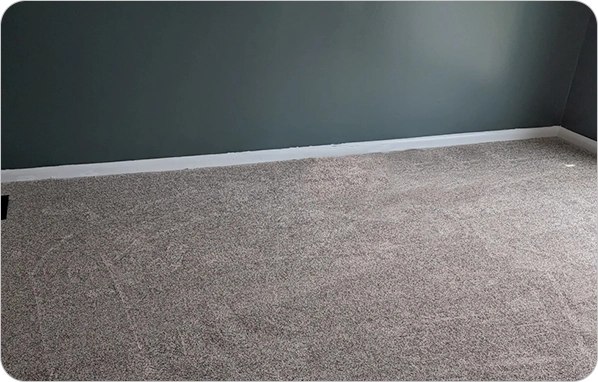Frieze carpet in a family living room