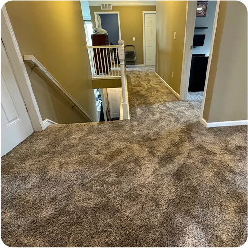 Plush carpet installed in a living room