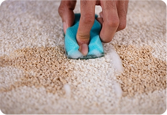 Easy cleanup on stain resistant carpet