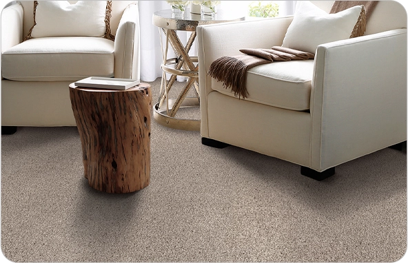 Stain resistant carpet in a family room